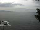 ./images/koeye/fitz-hugh/20200930/fitz-hugh20200930_145502.jpg