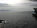 ./images/koeye/fitz-hugh/20200930/fitz-hugh20200930_150502.jpg
