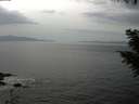 ./images/koeye/fitz-hugh/20200930/fitz-hugh20200930_151002.jpg