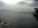 ./images/koeye/fitz-hugh/20200930/fitz-hugh20200930_151502.jpg