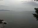 ./images/koeye/fitz-hugh/20200930/fitz-hugh20200930_153502.jpg