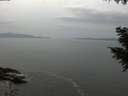 ./images/koeye/fitz-hugh/20200930/fitz-hugh20200930_155002.jpg