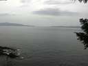 ./images/koeye/fitz-hugh/20200930/fitz-hugh20200930_160001.jpg