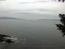 ./images/koeye/fitz-hugh/20200930/fitz-hugh20200930_160501.jpg