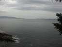 ./images/koeye/fitz-hugh/20200930/fitz-hugh20200930_162001.jpg