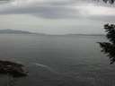 ./images/koeye/fitz-hugh/20200930/fitz-hugh20200930_162501.jpg