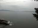 ./images/koeye/fitz-hugh/20200930/fitz-hugh20200930_163501.jpg