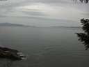./images/koeye/fitz-hugh/20200930/fitz-hugh20200930_164001.jpg