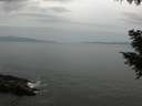 ./images/koeye/fitz-hugh/20200930/fitz-hugh20200930_165001.jpg