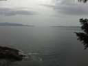 ./images/koeye/fitz-hugh/20200930/fitz-hugh20200930_172501.jpg
