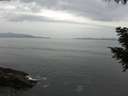 ./images/koeye/fitz-hugh/20200930/fitz-hugh20200930_173501.jpg