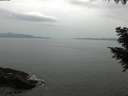 ./images/koeye/fitz-hugh/20200930/fitz-hugh20200930_174001.jpg