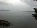 ./images/koeye/fitz-hugh/20200930/fitz-hugh20200930_174502.jpg