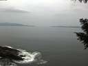 ./images/koeye/fitz-hugh/20200930/fitz-hugh20200930_175002.jpg