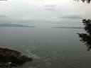 ./images/koeye/fitz-hugh/20200930/fitz-hugh20200930_183502.jpg