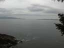 ./images/koeye/fitz-hugh/20200930/fitz-hugh20200930_184002.jpg