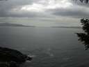 ./images/koeye/fitz-hugh/20200930/fitz-hugh20200930_185501.jpg