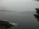 ./images/koeye/fitz-hugh/20200930/fitz-hugh20200930_193501.jpg