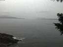 ./images/koeye/fitz-hugh/20200930/fitz-hugh20200930_194001.jpg