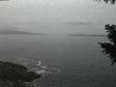 ./images/koeye/fitz-hugh/20200930/fitz-hugh20200930_194501.jpg