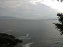 ./images/koeye/fitz-hugh/20201001/fitz-hugh20201001_080002.jpg