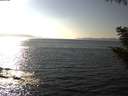 ./images/koeye/fitz-hugh/20201002/fitz-hugh20201002_160001.jpg