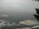 ./images/koeye/fitz-hugh/20201003/fitz-hugh20201003_160001.jpg