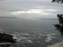 ./images/koeye/fitz-hugh/20201004/fitz-hugh20201004_080002.jpg