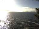 ./images/koeye/fitz-hugh/20201004/fitz-hugh20201004_160001.jpg