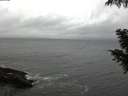 ./images/koeye/fitz-hugh/20201005/fitz-hugh20201005_080002.jpg