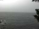 ./images/koeye/fitz-hugh/20201005/fitz-hugh20201005_140002.jpg