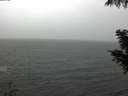 ./images/koeye/fitz-hugh/20201005/fitz-hugh20201005_160001.jpg