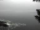./images/koeye/fitz-hugh/20201006/fitz-hugh20201006_080002.jpg