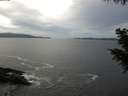 ./images/koeye/fitz-hugh/20201006/fitz-hugh20201006_120002.jpg