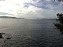 ./images/koeye/fitz-hugh/20201006/fitz-hugh20201006_140002.jpg