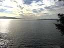 ./images/koeye/fitz-hugh/20201006/fitz-hugh20201006_160001.jpg