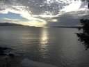 ./images/koeye/fitz-hugh/20201006/fitz-hugh20201006_180002.jpg