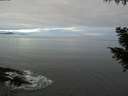 ./images/koeye/fitz-hugh/20201007/fitz-hugh20201007_080002.jpg
