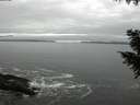 ./images/koeye/fitz-hugh/20201007/fitz-hugh20201007_100001.jpg