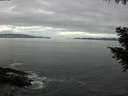 ./images/koeye/fitz-hugh/20201007/fitz-hugh20201007_120002.jpg