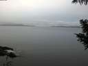 ./images/koeye/fitz-hugh/20201008/fitz-hugh20201008_080001.jpg