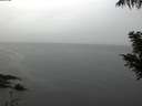 ./images/koeye/fitz-hugh/20201009/fitz-hugh20201009_080001.jpg