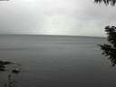 ./images/koeye/fitz-hugh/20201009/fitz-hugh20201009_160002.jpg