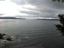 ./images/koeye/fitz-hugh/20201010/fitz-hugh20201010_080001.jpg