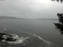 ./images/koeye/fitz-hugh/20201011/fitz-hugh20201011_140001.jpg
