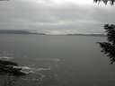 ./images/koeye/fitz-hugh/20201011/fitz-hugh20201011_160002.jpg