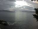 ./images/koeye/fitz-hugh/20201012/fitz-hugh20201012_080002.jpg