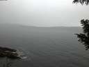 ./images/koeye/fitz-hugh/20201013/fitz-hugh20201013_080002.jpg