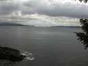 ./images/koeye/fitz-hugh/20201013/fitz-hugh20201013_180002.jpg