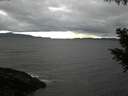 ./images/koeye/fitz-hugh/20201015/fitz-hugh20201015_180002.jpg